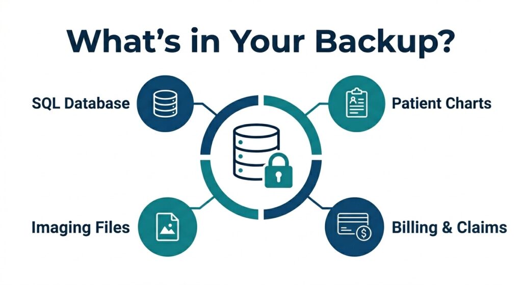 An infographic chart mapping out the components of a compliant dental database backup, including patient charts, financial billing, SQL files, and digital imaging paths.